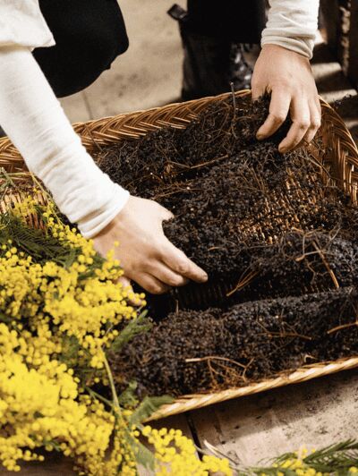 Portugal: Create natural watercolors - Practical Considerations