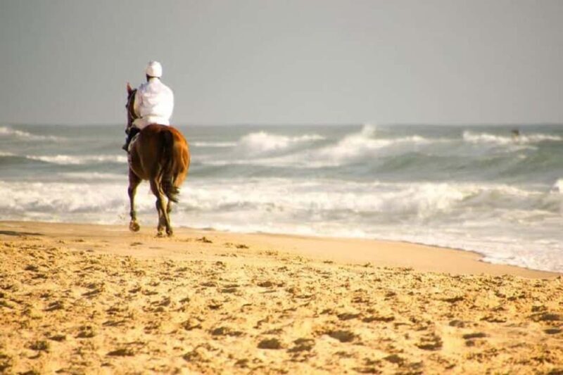Portugal: Horseback Riding Tour with Wine - The Details and What You’ll Love