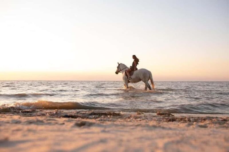 Portugal: Horseback Riding Tour with Wine - FAQ