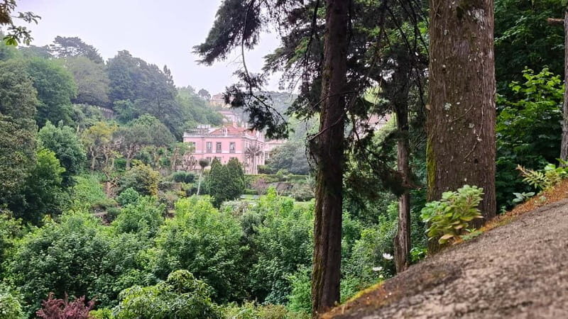 Portugal: Private 10-Day Van Tour - Final Thoughts