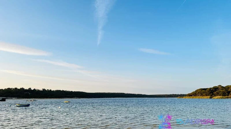 Portugal's Hidden Gems: Arrábida, C Espichel & Sesimbra Tour - Frequently Asked Questions