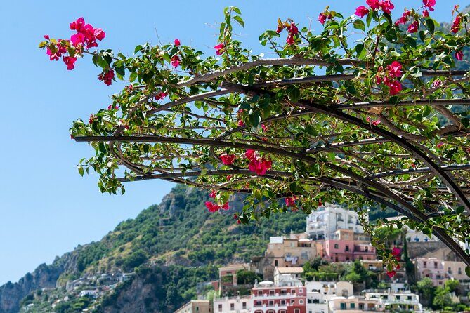 Positano Walking Tour with a Local Guide - What Travelers Say