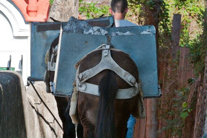 Positano Walking Tour with a Local Guide - FAQ