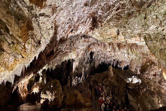 Postojna Cave Day Trip From Ljubljana - Who Will Love This Tour?