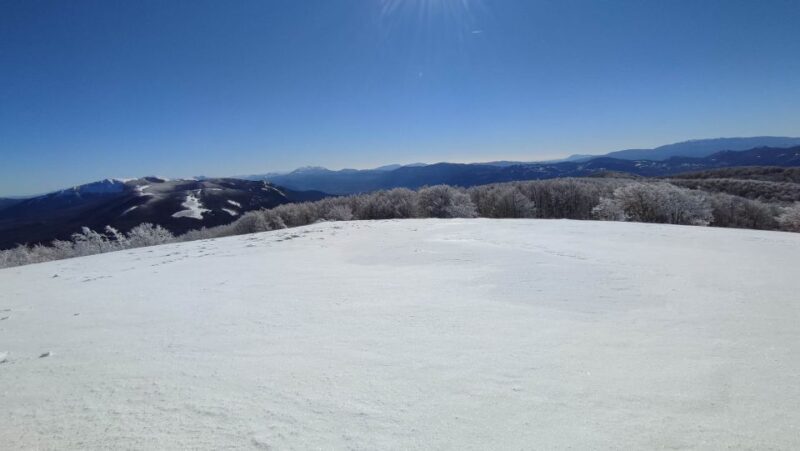 Potenza: Guided Mountain Walking Tour with Snowshoes - Authentic Feedback from Participants