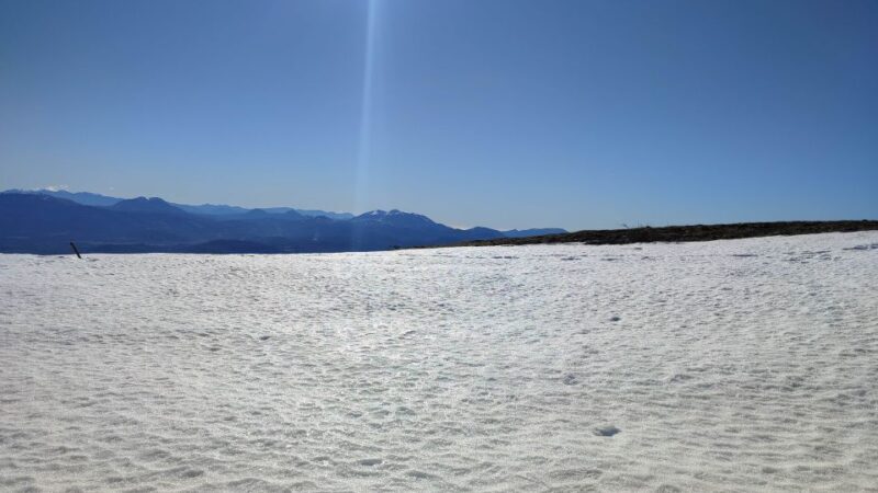 Potenza: Guided Mountain Walking Tour with Snowshoes - Is It Worth the Price?