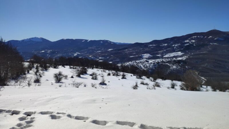 Potenza: Guided Mountain Walking Tour with Snowshoes - Practical Tips for Making the Most of the Tour