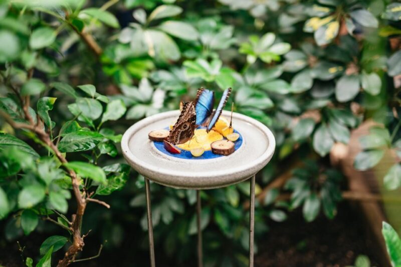 Potsdam: Biosphäre Potsdam Entry Ticket - Final Thoughts