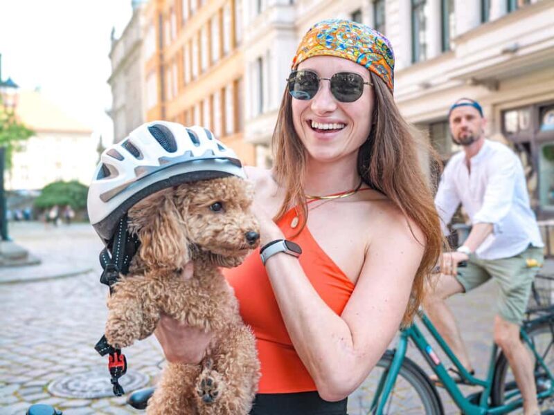 Potsdam: Experience Berlin's charming neighbor on a guided bike tour - What to Expect from the Tour