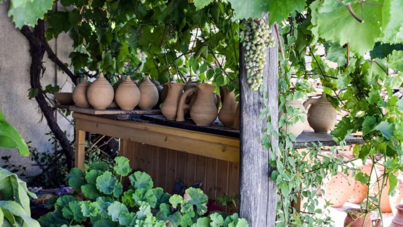 POTTERY & OLIVE OIL TASTING EXPERIENCE (3.5 Hours) - What to Expect from the Pottery & Olive Oil Tasting Tour