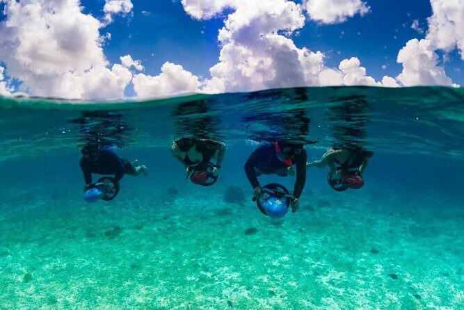 Power Snorkel by Sea Scooter & Flavored Tequila tasting - What to Expect from the Tour