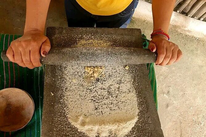 Power Snorkel by Sea Scooter & Flavored Tequila tasting - Summary: Who Should Consider This Tour