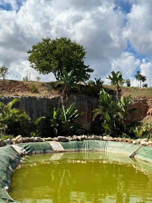 Pozzo Faceto: botanical garden - Final Thoughts