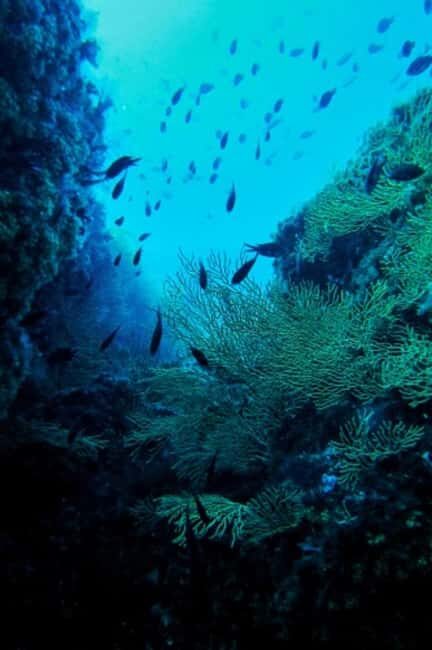 Pozzuoli: Scuba Diving Tour in the Roman Sunken City of Baia - The Itinerary in Detail