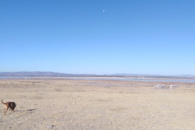 Practice your Spanish and let's go hiking! - Who Should Consider This Tour?