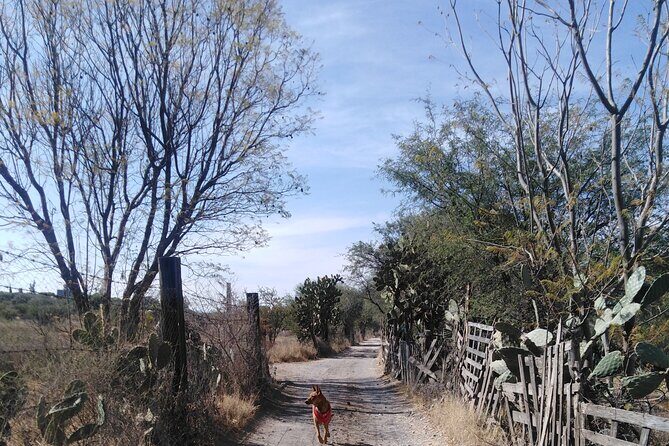 Practice your Spanish and let's go hiking! - FAQs