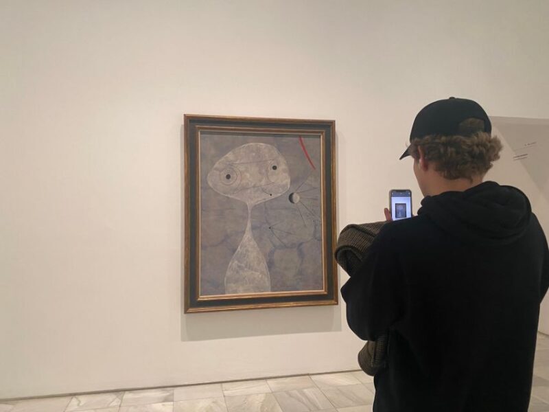 Prado Museum guided tour optional Reina Sofía Museum - What Travelers Say