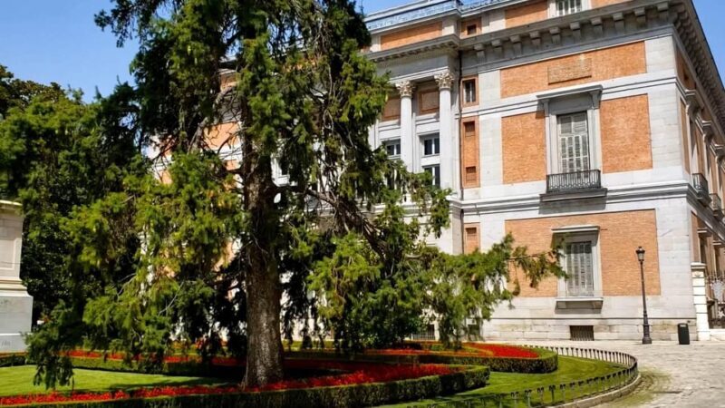 PRADO MUSEUM HIGHLIGHTS PRIVATE TOUR - The Real-World Experience