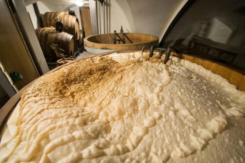 Prague: Beer Tasting and Brewery Tour - Final Thoughts: Is This Tour for You?