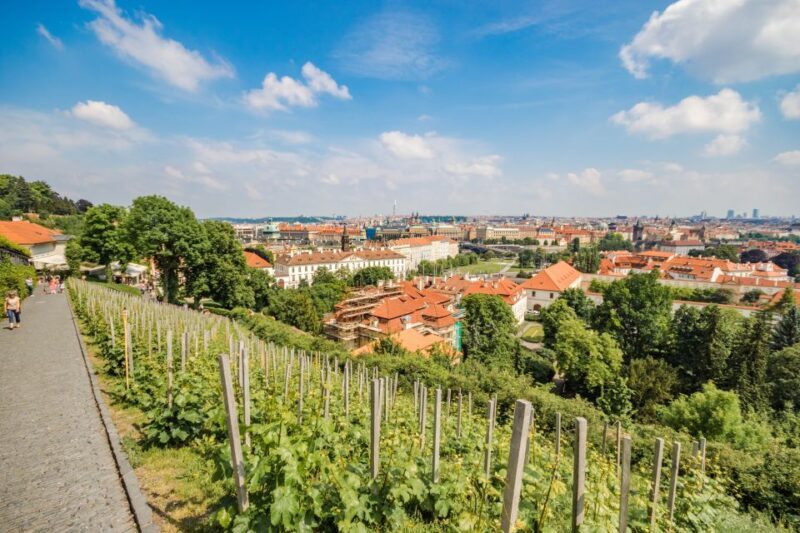 Prague Castle 2.5-Hour Tour Including Admission Ticket - Authentic Visitor Perspectives