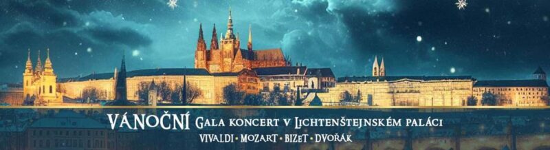 Prague: Christmas Gala Concert at Liechtenstein Palace - The Venue and Atmosphere