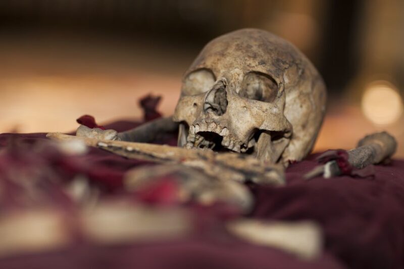 Prague: Day Trip to Teplice, the Royal Spa City - The Train Ride and Other Afternoon Activities