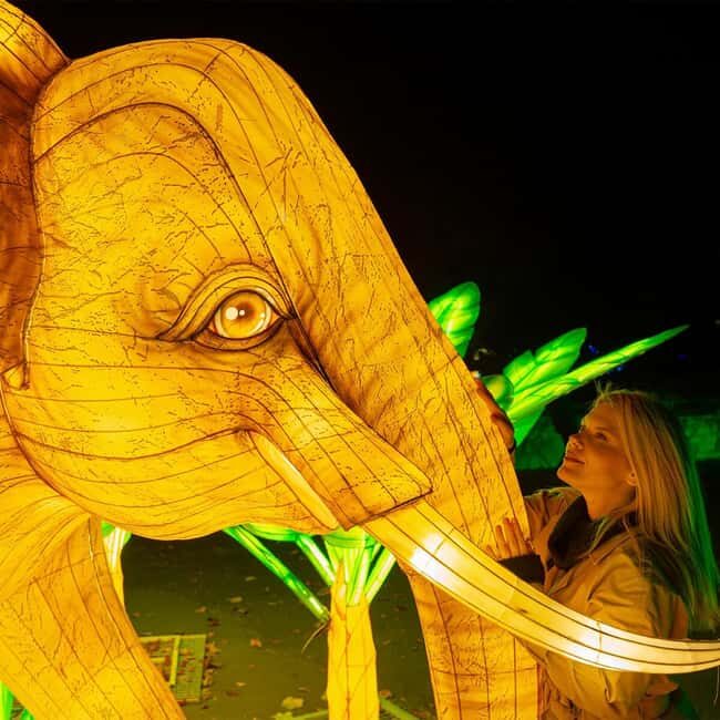 Prague: Garden of Lights Entry Ticket - Key Points