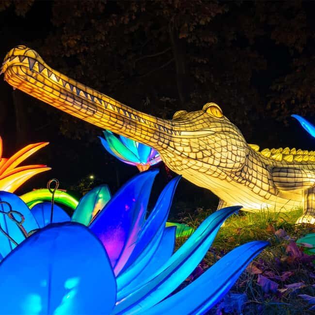 Prague: Garden of Lights Entry Ticket - What is the Garden of Lights?