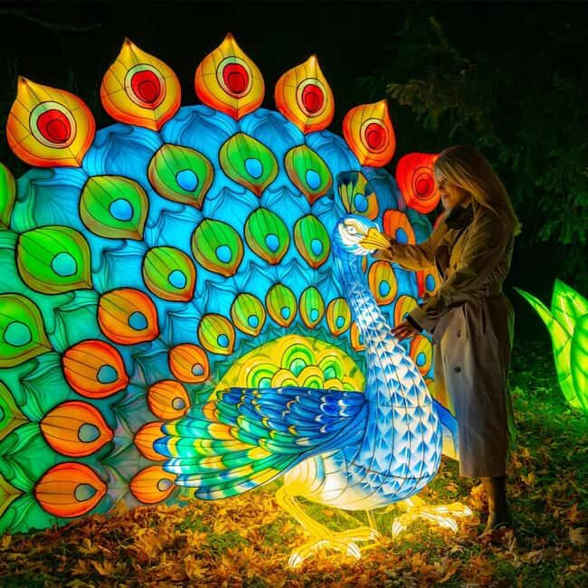 Prague: Garden of Lights Entry Ticket - How the Experience Works