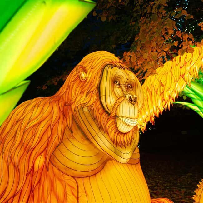 Prague: Garden of Lights Entry Ticket - Who Should Consider This Tour?