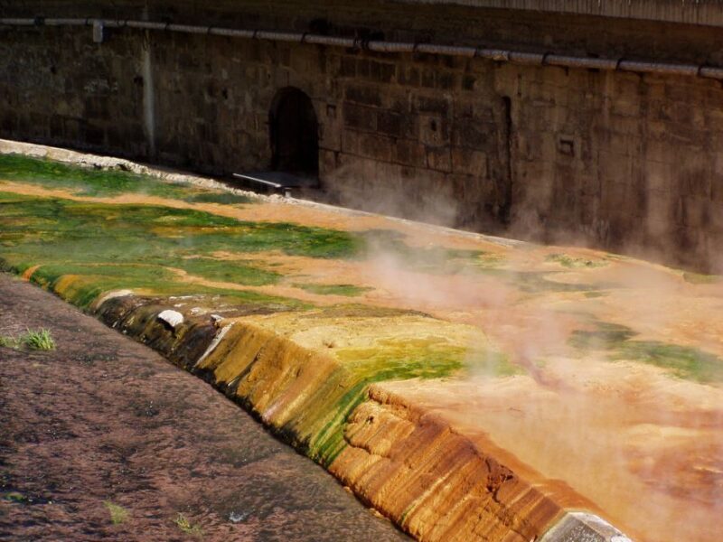 Prague: Karlovy Vary Tour with Lunch and Moser Museum Visit - Final Thoughts