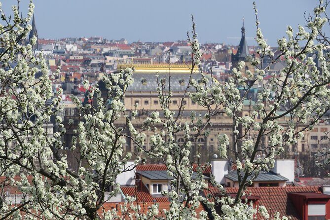 Prague Literary & Historical Tours - Literature Route - An Overview of the Literature Route Experience