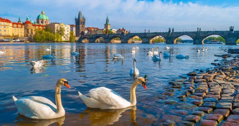 Prague: MegaCombo Tickets with Castle, Cruise & Walking Tour - Final thoughts