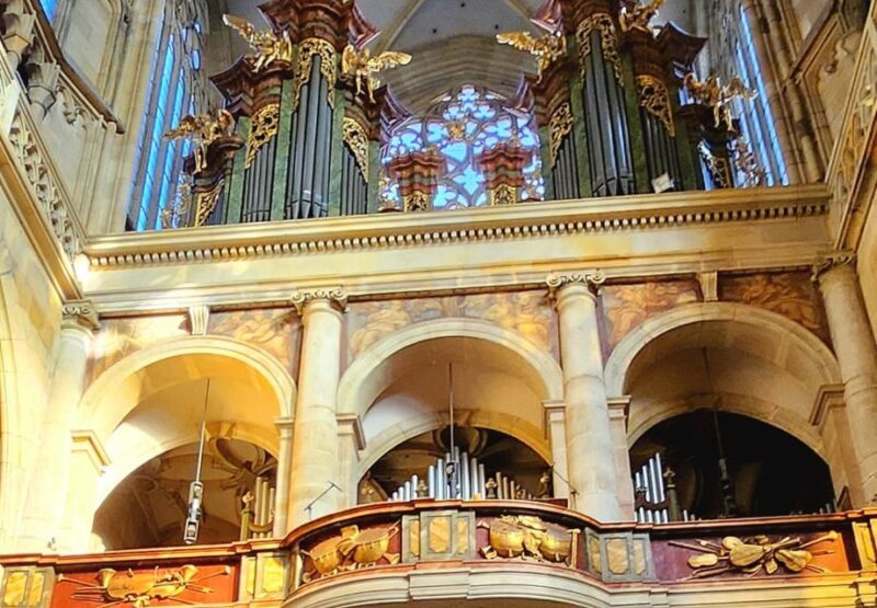 Prague: Prague Castle Private Walking Tour - Real Travelers’ Feelings