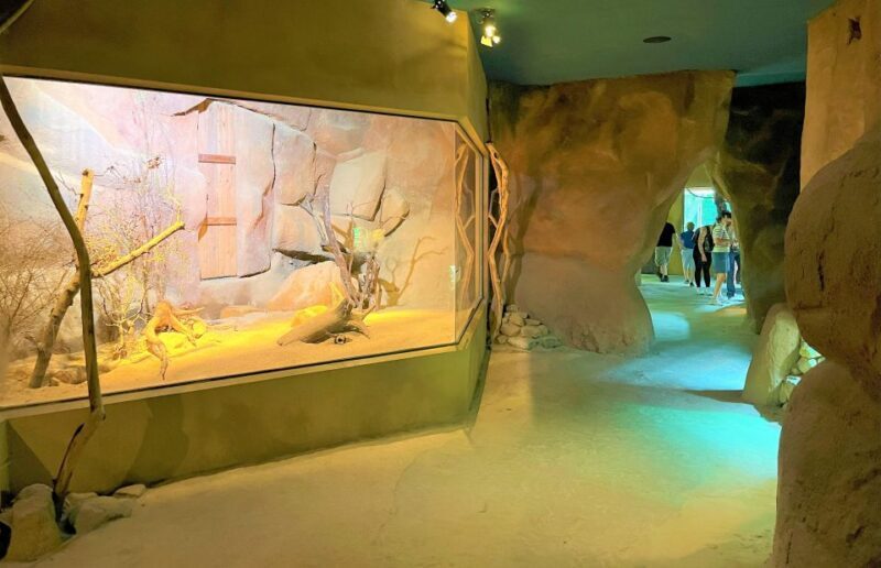 Prague: Prague Zoo Audio Guide with E-Ticket - What Makes Prague Zoo Special?