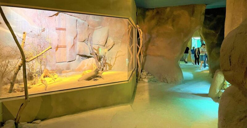 Prague: Prague Zoo Audio Guide with E-Ticket - Highlights of the Tour