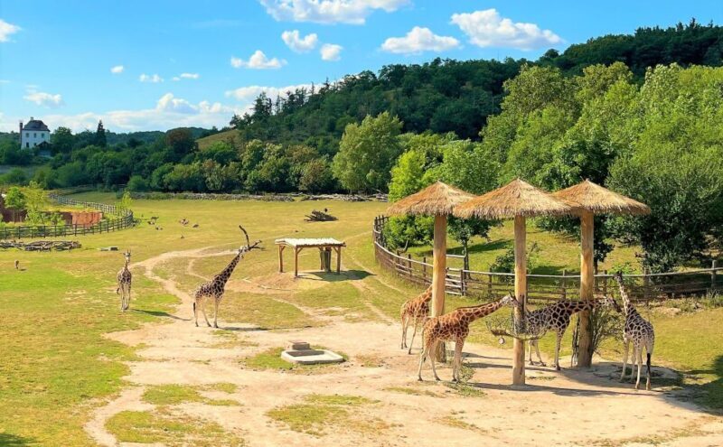 Prague: Prague Zoo Audio Guide with E-Ticket - Practical Details and Tips