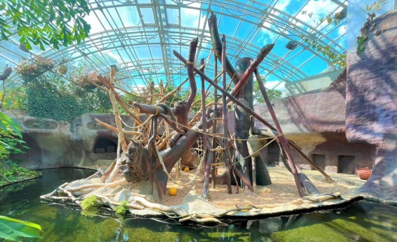 Prague: Prague Zoo Audio Guide with E-Ticket - Final Thoughts