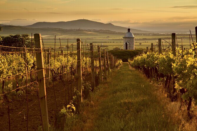 Prague - Vienna One-way Sightseeing Private Tour - Final Thoughts