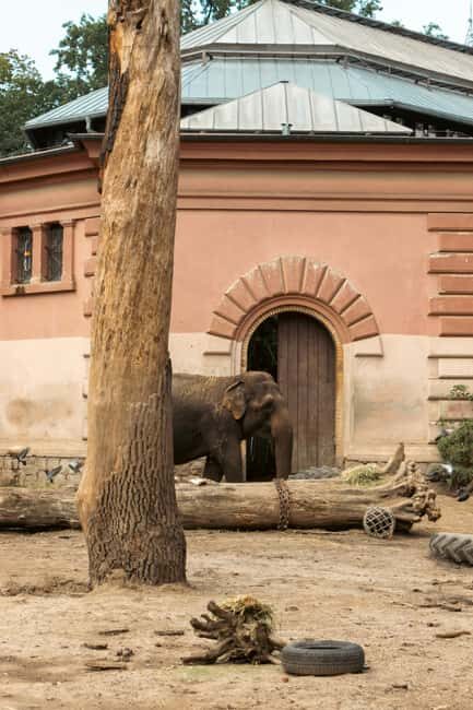 Prague: Zoo Entrance Ticket With Audio Guide & Transfer - An Honest Look at What to Expect at Prague Zoo