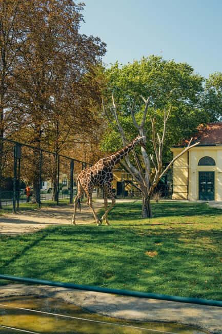 Prague: Zoo Entrance Ticket With Audio Guide & Transfer - The Experience in Practice: What Real Travelers Say