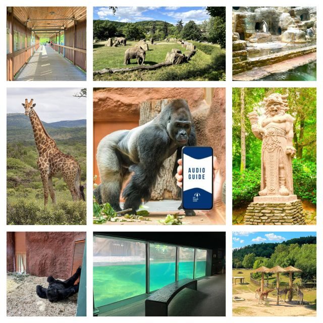 Prague Zoo Online Audio Guide (No ticket) - Navigating the Tour: What to Expect