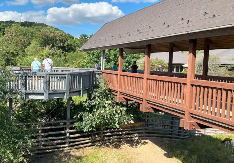 Prague Zoo Online Audio Guide (No ticket) - Who Would Enjoy This?