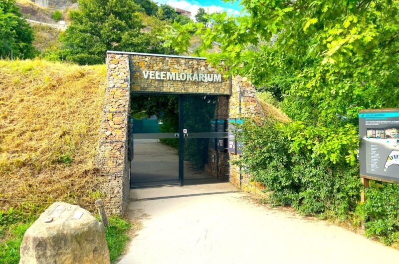 Prague Zoo Online Audio Guide (No ticket) - Final Thoughts