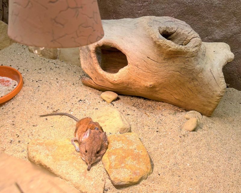 Prague Zoo Online Audio Guide (No ticket) - FAQ