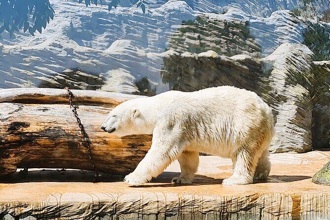 Prague Zoo Ticket with Online Audio Guide - Exploring the Prague Zoo with an Online Audio Guide: A Practical Review