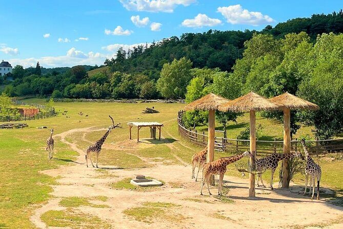 Prague Zoo Ticket with Online Audio Guide - Final Thoughts: Is It Worth It?