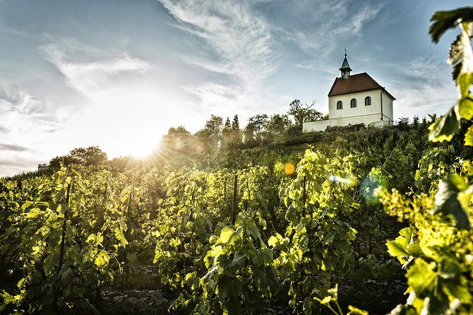 Prague´s Hidden Vineyards Private Tour - Final Thoughts