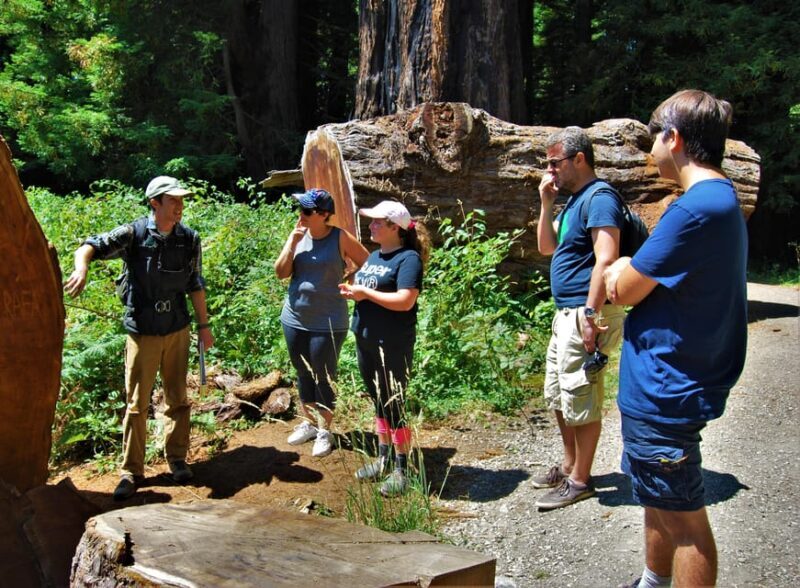 Prairie Creek State Park: Redwood Forest Hiking Tour - The Experience of the Redwoods