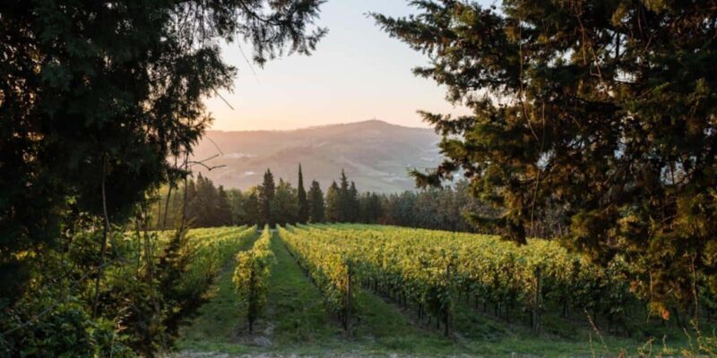 Predappio: Historical Villa Tour with Wine Tasting - The Practicalities